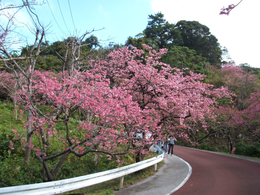 八重岳
