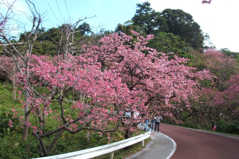 八重岳