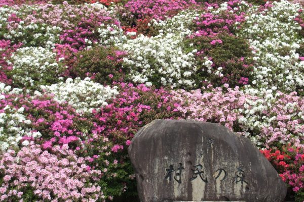 村民の森