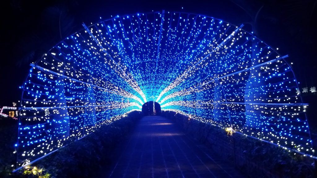 東南植物楽園　ひかりの散歩道